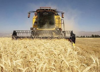 Ziraî girdi enflasyonu %41.4