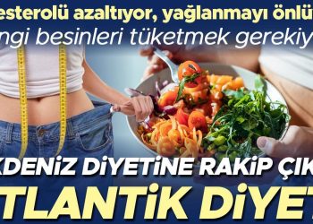 Kolesterole ve kalbe yeterli geliyor: Atlantik diyeti ile tanışın… ‘Akdeniz diyetini tahtından edebilir’
