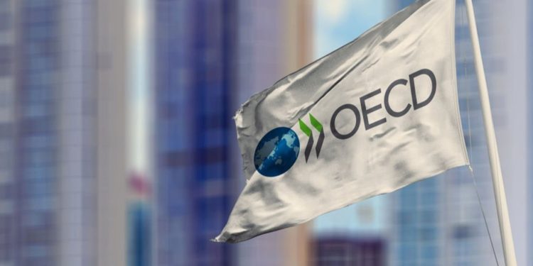 OECD, Türkiye’nin 2024 büyüme tahminini yükseltti