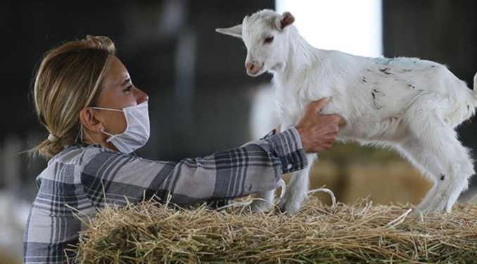 Yunanistan’da ‘veba’ tedbirleri