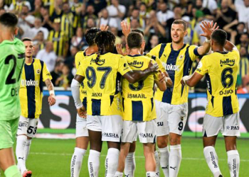 Fenerbahçe, 3 puanı tek golle aldı