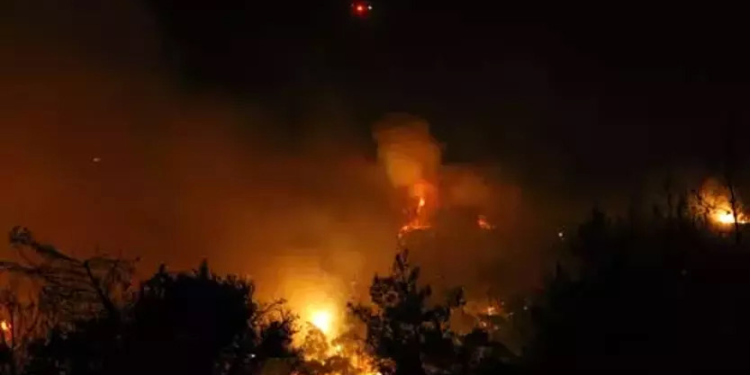 Muğla ve Aydın’da orman yangını: Bir köy tahliye edildi!