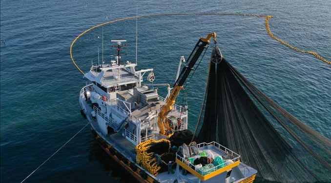 Su Ürünleri Av Sezonu’nun açılışı yarın İstanbul’da yapılacak