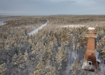 Norveç’ten Rus sınırına tel örgü planı