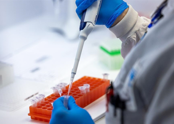 Afrika’da M çiçeği tehlikesi büyüyor