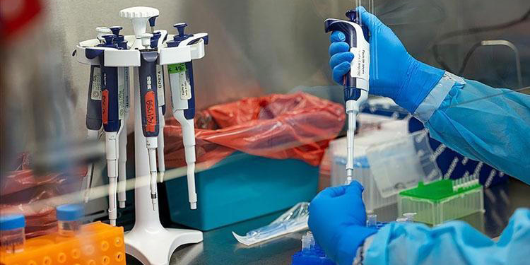 İngiltere’de ilk kez M çiçeği varyantı tespit edildi