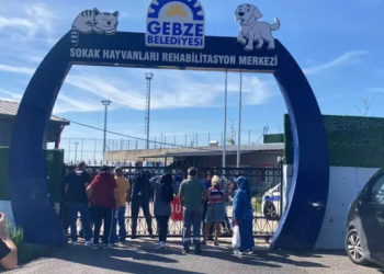 Rehabilitasyon merkezinde onlarca hayvan öldürüldü iddiası