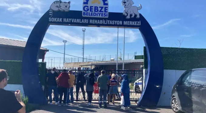 Rehabilitasyon merkezinde onlarca hayvan öldürüldü iddiası