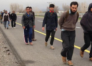 ‘Kalkan-29’ operasyonunda 242 düzensiz göçmen yakalandı