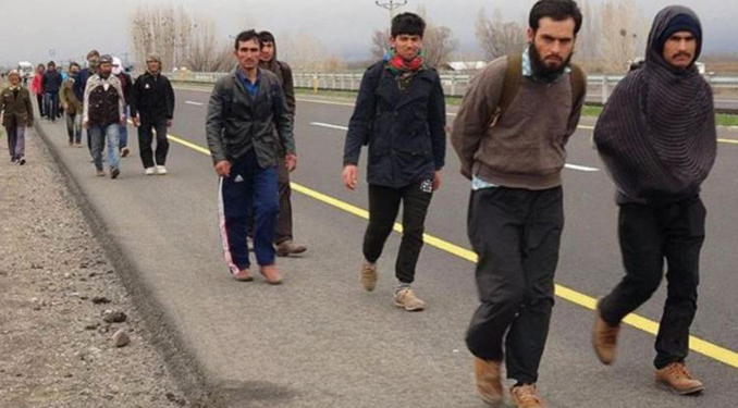 ‘Kalkan-29’ operasyonunda 242 düzensiz göçmen yakalandı