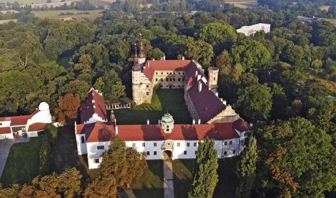 Elon Musk, Avrupa’da kale satın alıyor