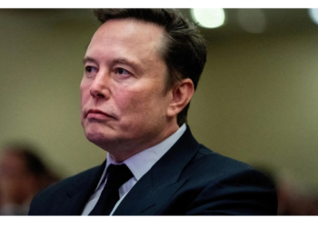 Elon Musk, imparatorluğunu devlet desteğiyle kurdu