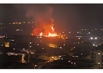 Bursa’da Tarihi Kestel Kalesi’nde yangın çıktı