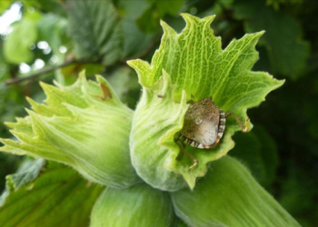 300 ürün tehlike altında: İşte büyük tehdit!