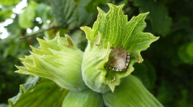 300 ürün tehlike altında: İşte büyük tehdit!