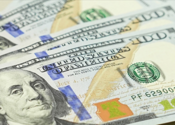 Dövize endeksli menkul satış dönemi