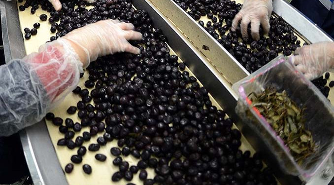 Marmarabirlik ortaklara 3 milyar liralık ödemeyi tamamlıyor