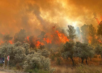 Muğla’da ormanlara giriş 1 Mayıs’tan itibaren yasak