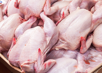 Türkiye’nin sevilen tavuk markasında ölümcül bakteri alarmı