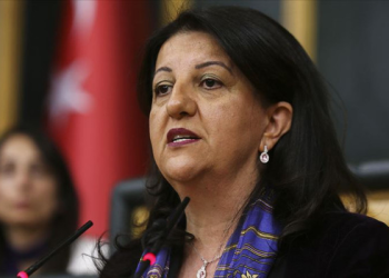 DEM Parti’den İmralı ziyareti sonrası mesaj