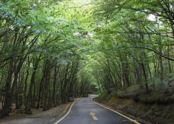Valilikten kritik uyarı: Ormanlık alanlarda mangal ve ateş yasağı başladı