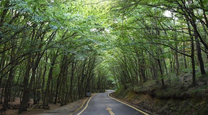 Valilikten kritik uyarı: Ormanlık alanlarda mangal ve ateş yasağı başladı