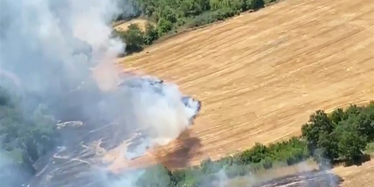 4 ilde orman yangını: Edirne’de bir arazör alevlere teslim oldu