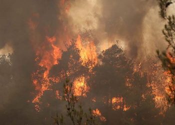 İki kent için ‘afet bölgesi’ kararı!