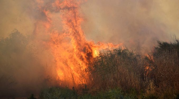 Orman yangınları 4 kentte devam ediyor
