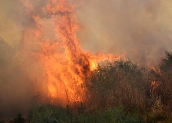 Orman yangınları 4 kentte devam ediyor