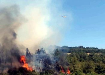 Tekirdağ Şarköy yangını son durum ne?