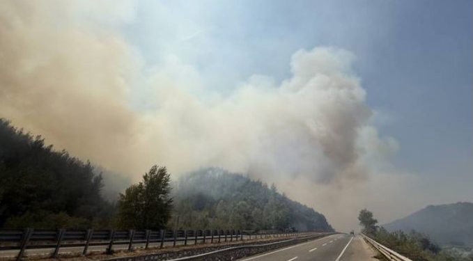 Yurdun dört bir yanında orman yangınlarıyla mücadele sürüyor